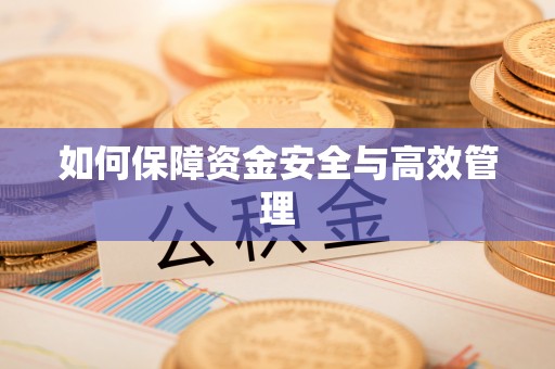 共和如何保障资金安全与高效管理
