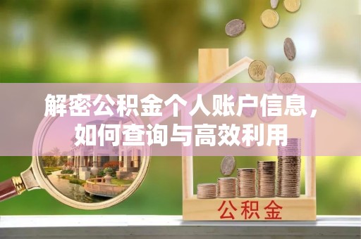 共和解密公积金个人账户信息，如何查询与高效利用