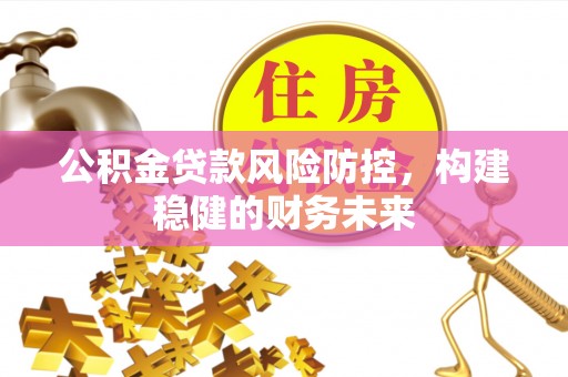 共和公积金贷款风险防控，构建稳健的财务未来