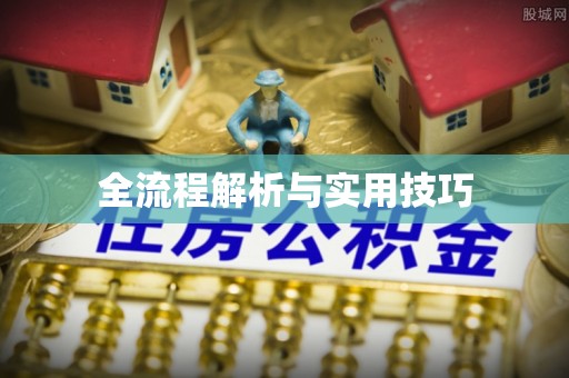 共和全流程解析与实用技巧