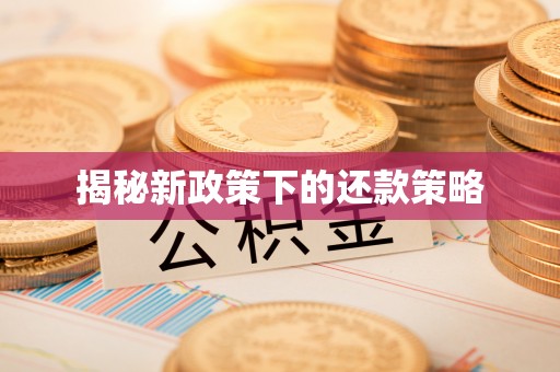 共和揭秘新政策下的还款策略