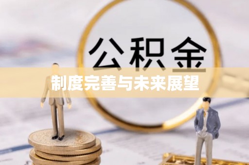 共和制度完善与未来展望