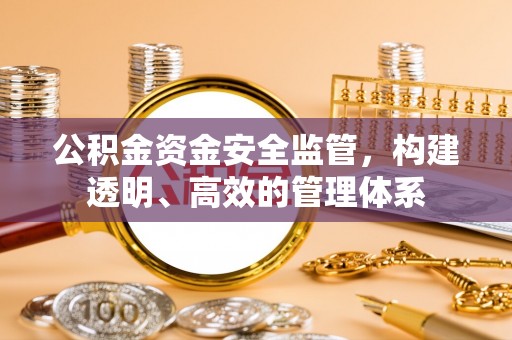 共和公积金资金安全监管，构建透明、高效的管理体系