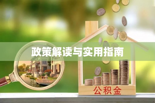 共和政策解读与实用指南