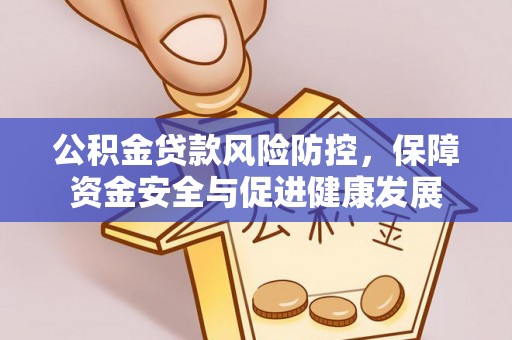 共和公积金贷款风险防控，保障资金安全与促进健康发展