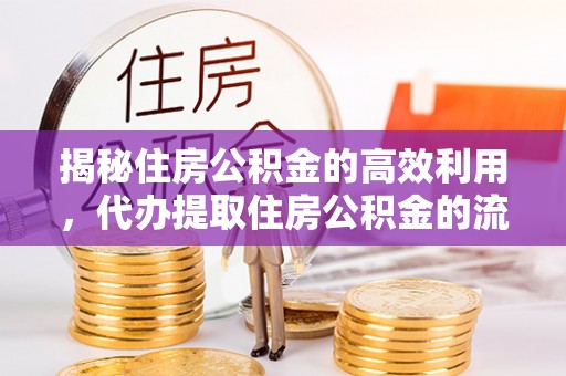共和揭秘住房公积金的高效利用，代办提取住房公积金的流程与技巧