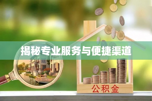 共和揭秘专业服务与便捷渠道