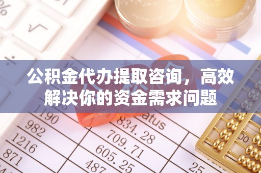 共和公积金代办提取咨询，高效解决你的资金需求问题