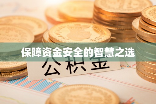 共和保障资金安全的智慧之选