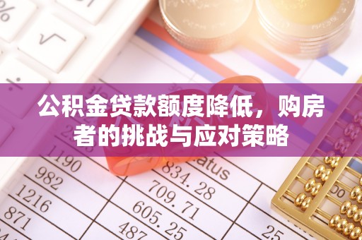 共和公积金贷款额度降低，购房者的挑战与应对策略