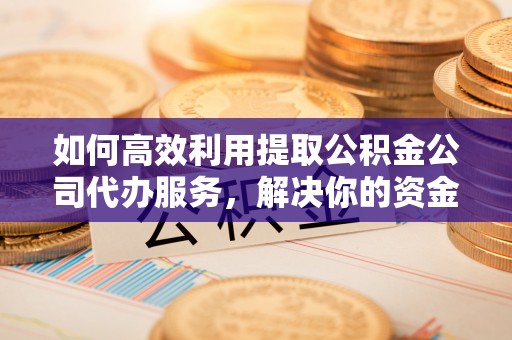 共和如何高效利用提取公积金公司代办服务，解决你的资金难题