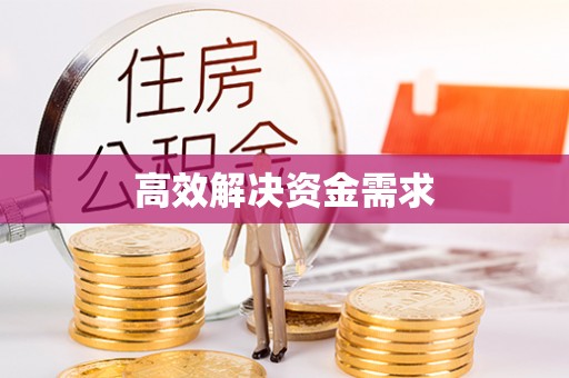 共和高效解决资金需求