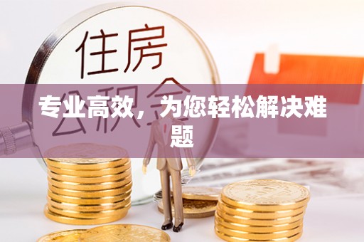 共和专业高效，为您轻松解决难题