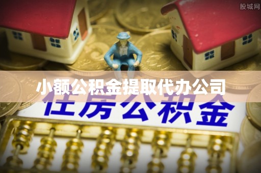 共和小额公积金提取代办公司